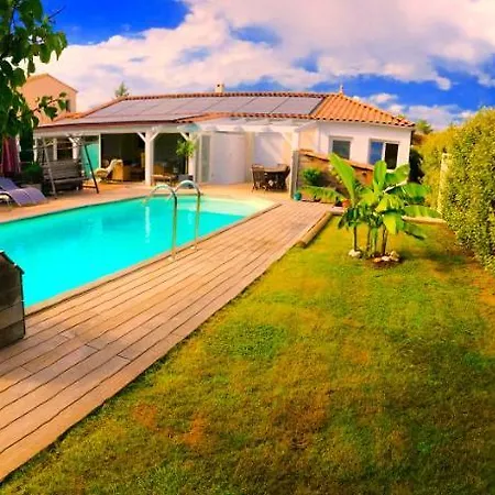 Felin Feline فيلة LʼIsle-sur-la-Sorgue