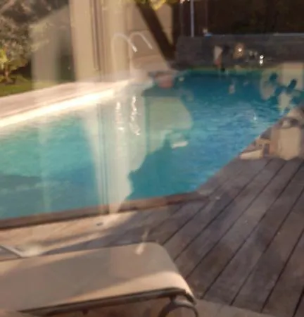 Felin Feline فيلة LʼIsle-sur-la-Sorgue